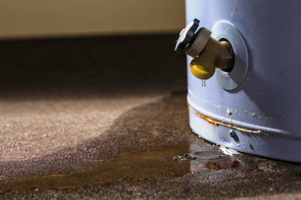 Best Flood restoration services  in Occidental, CA