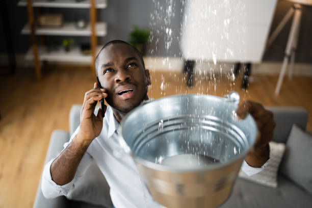 Best Local water damage restoration  in Occidental, CA