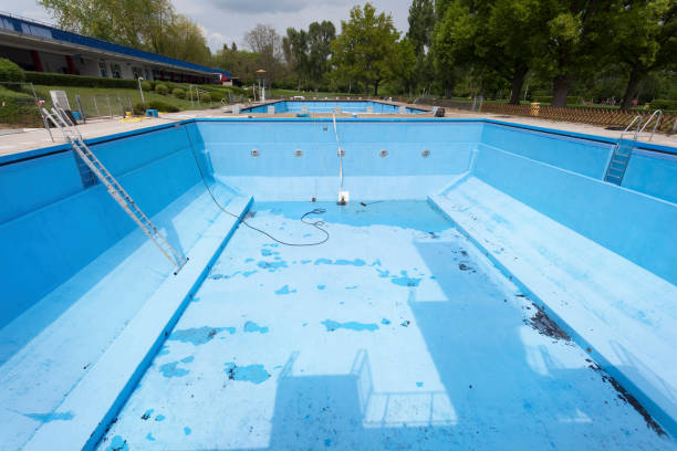 Best Professional water damage repair  in Occidental, CA