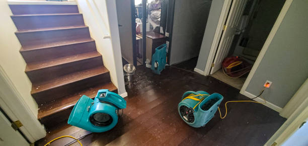 Best Basement water damage restoration  in Occidental, CA