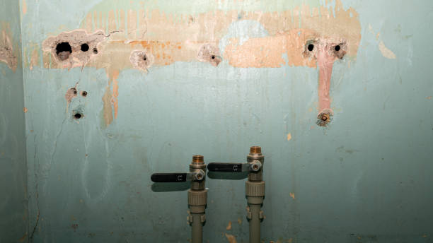Best Ceiling water damage repair  in Occidental, CA