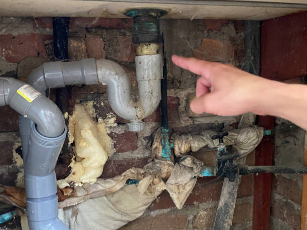 Best Emergency water extraction  in Occidental, CA