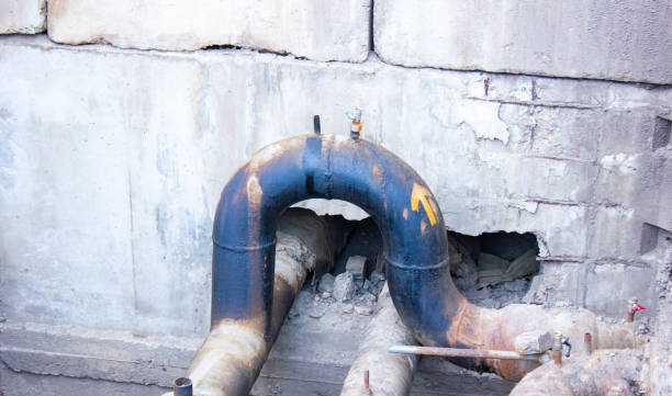 Best 24-hour water damage restoration  in Occidental, CA
