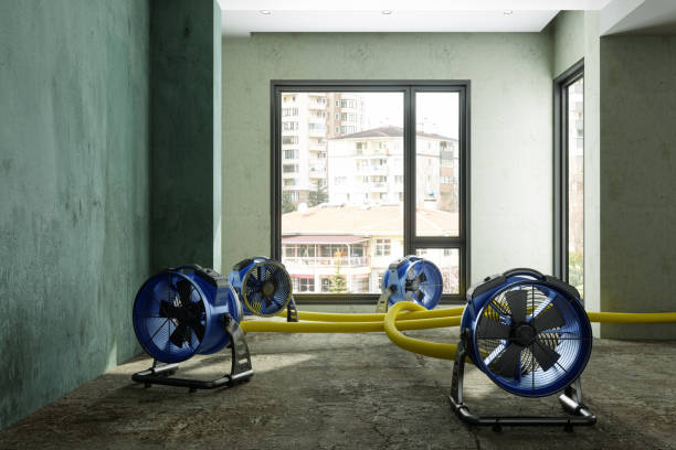 Best Sewage cleanup and water damage restoration  in Occidental, CA