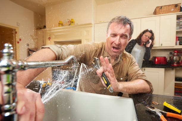 Best Water damage cleanup near me  in Occidental, CA